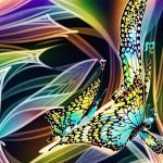 Papel de parede WhatsApp Borboleta: O Guia Completo